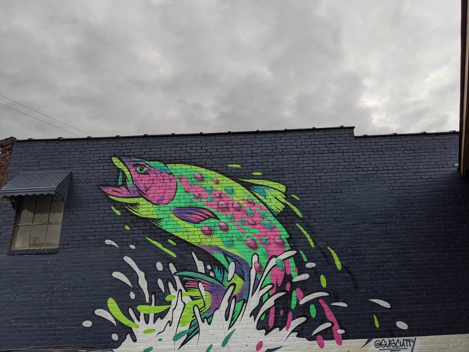 Best Instagram Spots in Asheville: West Asheville Fish Mural by Gus Cutty