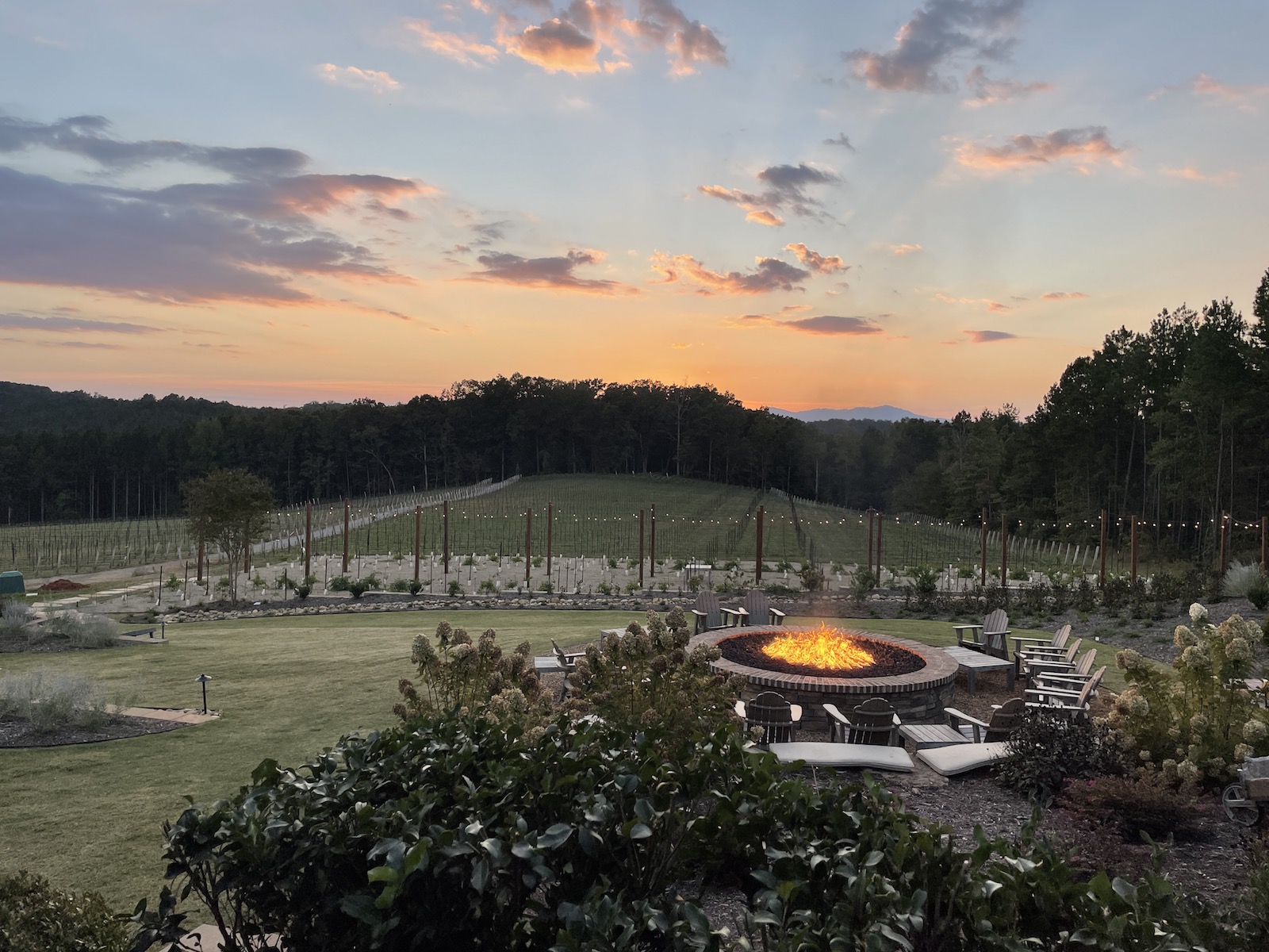 A fire blazes in a circular brick firepit with several adirondack chairs circled around it. There are rows of grapevines in the background. The sky is a beautiful orange with a couple of dark purple clouds. A small sliver of blue mountain is in the background.