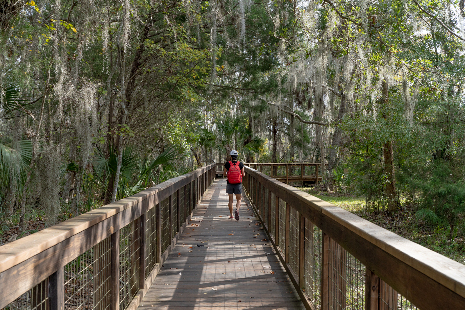 Erin McGrady walks down a wooden boardwalk wearing a red backpack. She is on the right-hand side of the path. There are handrails on each side and all around her are green trees and hanging moss.