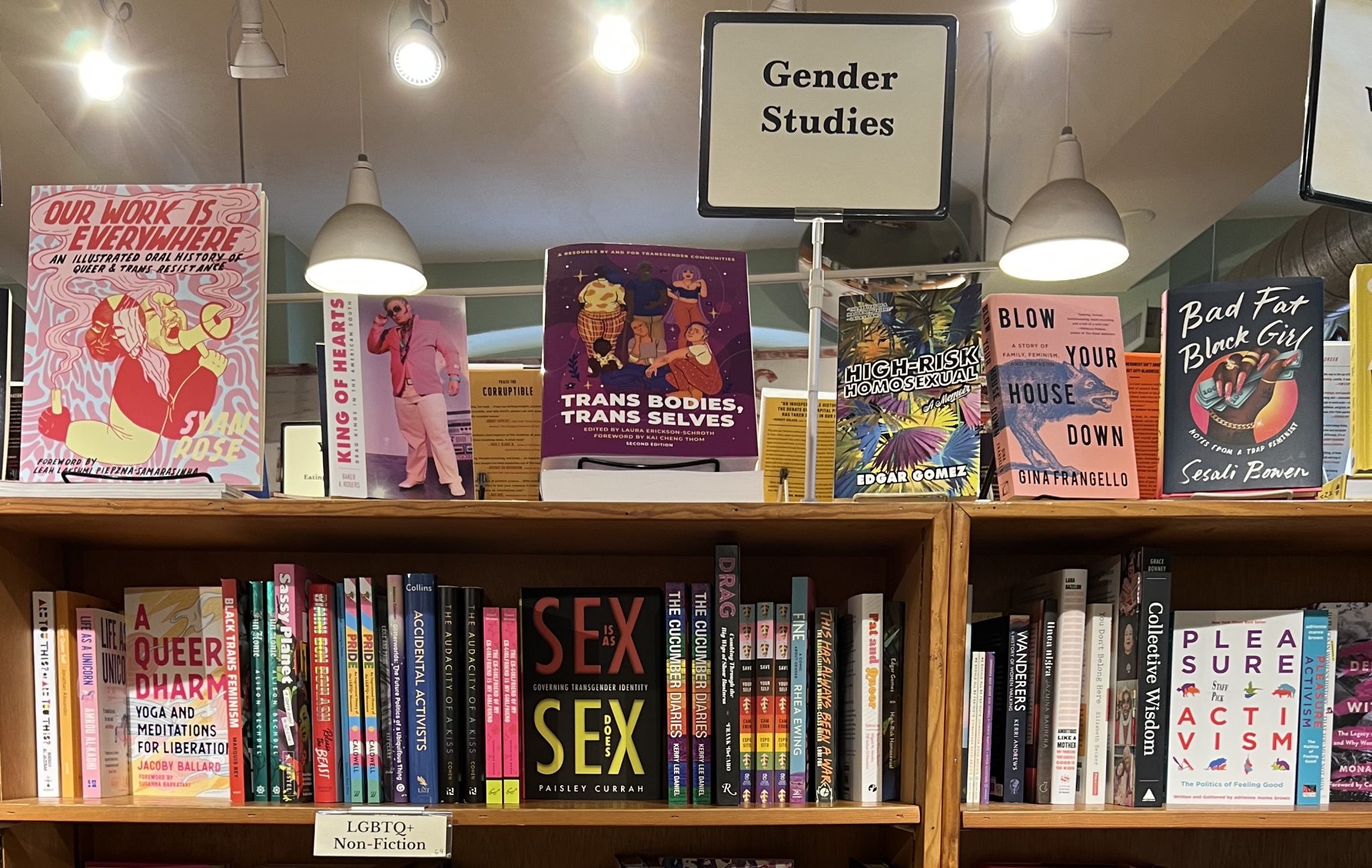 Two wooden bookshelves are pushed together so they seem as if one. A big prominent white sign in a silver outline says "Gender Studies" on it in black. It is proudly displayed on the top shelf and there are books on either side of it and below that are about Trans people, queer people, sex, and more. There is a small sign attached to the lowest visible shelf that says LGBTQ+ Non-Fiction. The background is mostly a white ceiling with some green trim and a few lights that are on.