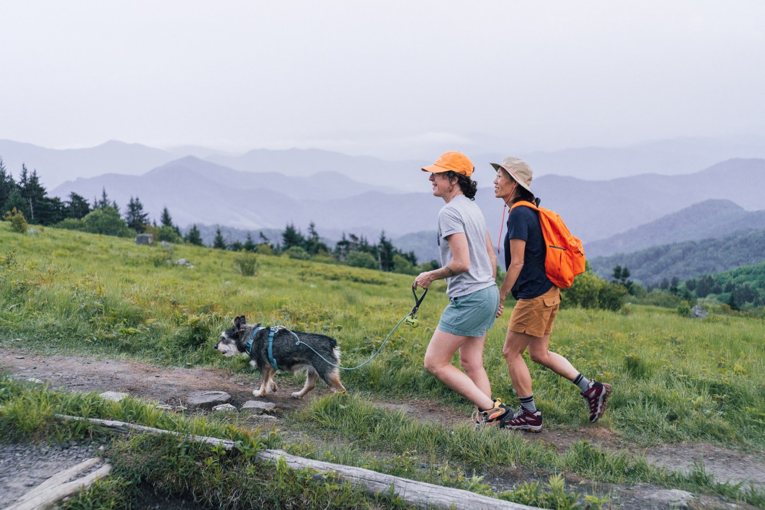 Caroline Whatley and Erin McGrady are holding hands and walking along a trail with a small brown dog. There are many layers of mountains in the background as well as a line of evergreen trees.